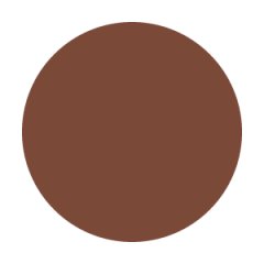Scorched Brown Paint