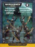 Dark Eldar Incubi