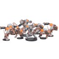 Skittersneak Stealers Veer-Myn Team