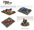 Pike and Shotte Casualties
