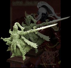 Dark Elf Hero