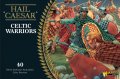 Celtic Warriors - Warlord Games