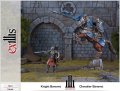 Ex Illis Knight Baneret