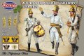 Austrian Napoleonic Infantry 1789 - 1805 - Victrix
